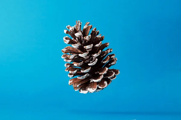 Pinecone de Natal sobre azul — Fotografia de Stock