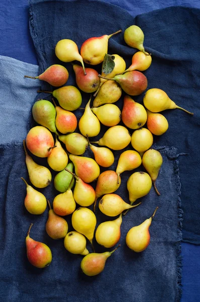 Birden çok renkli armut — Stok fotoğraf