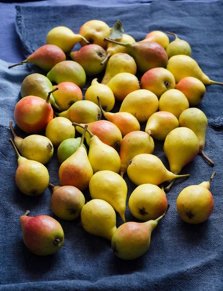 Multiple colorful pears — Stock Photo, Image