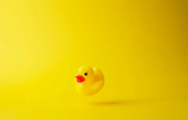 Жовтий гумова качка — стокове фото