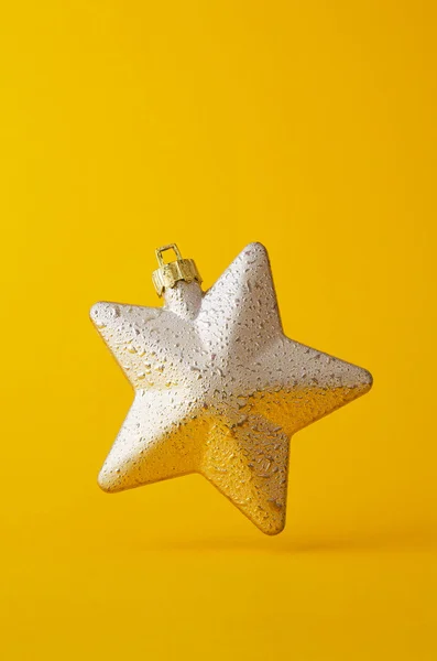 Silberner Weihnachtsstern — Stockfoto