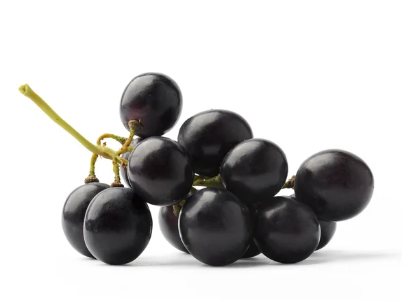 Uvas moradas oscuras — Foto de Stock
