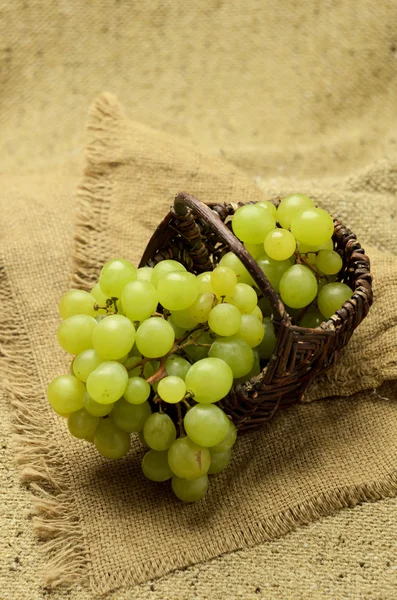 Green grapes in basket Stock Picture