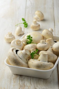 champignon mantarları