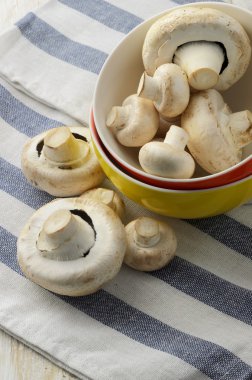 champignon mantarları