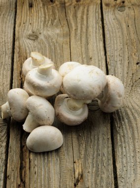 champignon mantarları