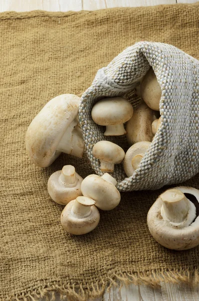 Champignon dans un sac en toile — Photo