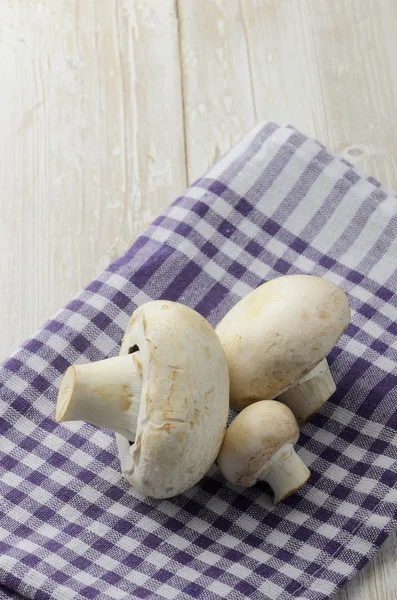 Champignon mushrooms on wood background — Stock Photo, Image