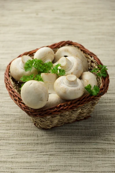 Champignons Champignon — Photo