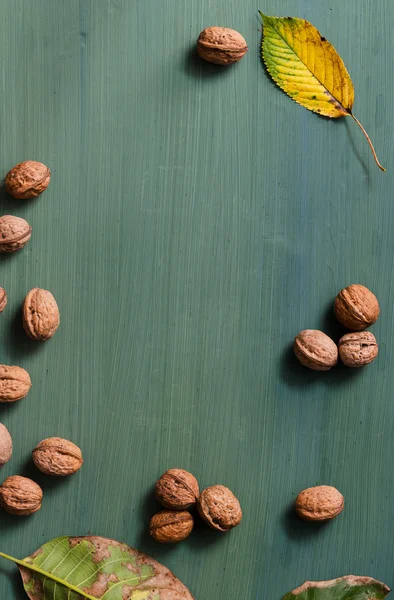 Fresh walnuts background — Stock Photo, Image