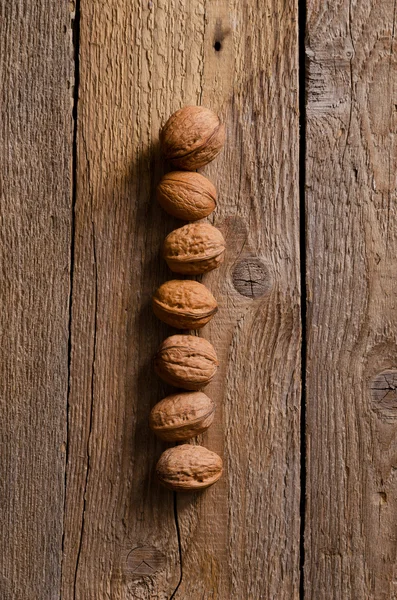 Walnuts arranged in straight line — Stock Photo, Image