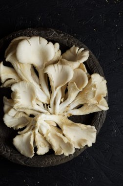 Pleurotus paddestoelen