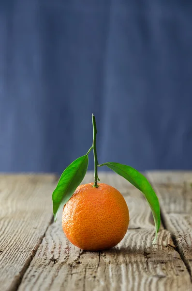 Single ripe tangerine — Stock Photo, Image