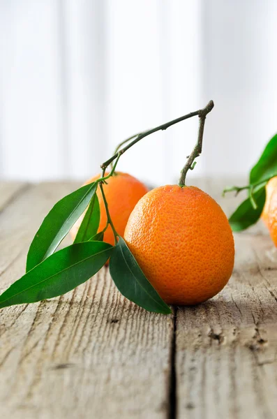 Multiple ripe tangerines — Stock Photo, Image