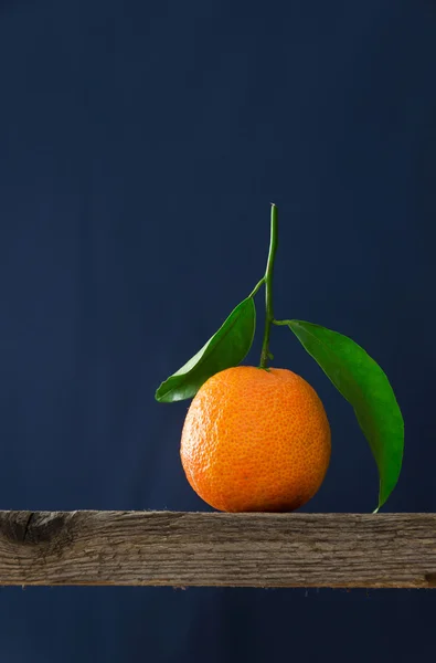 Single ripe tangerine — Stock Photo, Image