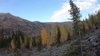 Altai yürüyüşçüleri parkta el sallıyorlar.