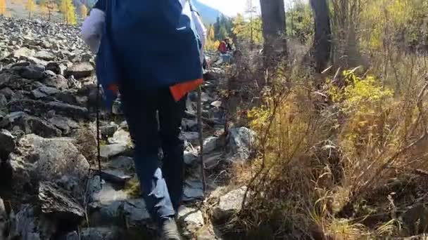 Caminhantes Altai Atravessam Parque Vídeos De Bancos De Imagens Sem Royalties