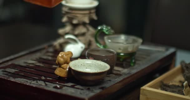 Chines Чайная Церемония Дома — стоковое видео