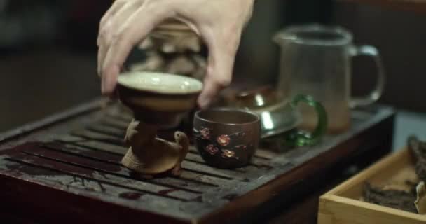 Chines Чайная Церемония Дома — стоковое видео