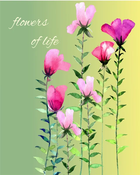 Flowers — Stock Vector