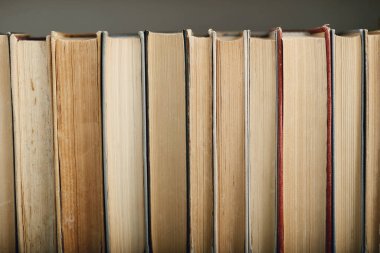 Kitap raflarındaki kitaplar.