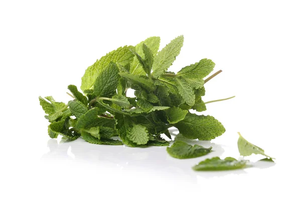 Isolerad Mint Vit Bakgrund — Stockfoto