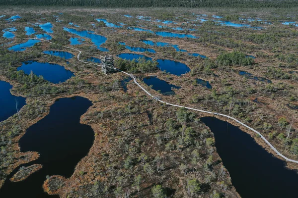 Bird's-eye view. Aerial view of swamp