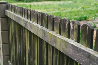 Mahremiyet. Yakın plan eski çit