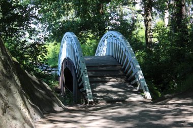Vyborg Monrepo Park ahşap köprü.