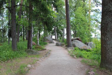 Vyborg Monrepo parkta yolundaki.