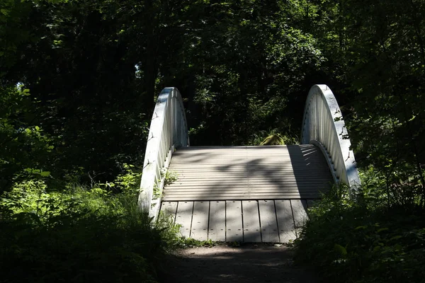 Деревянный мост в парке Монрепо в Выборге . — стоковое фото