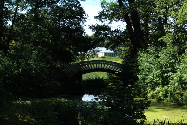 Samenstelling. Historisch gebouw in Monrepo Park in Vyborg op de achtergrond en een brug op de voorgrond. — Stockfoto