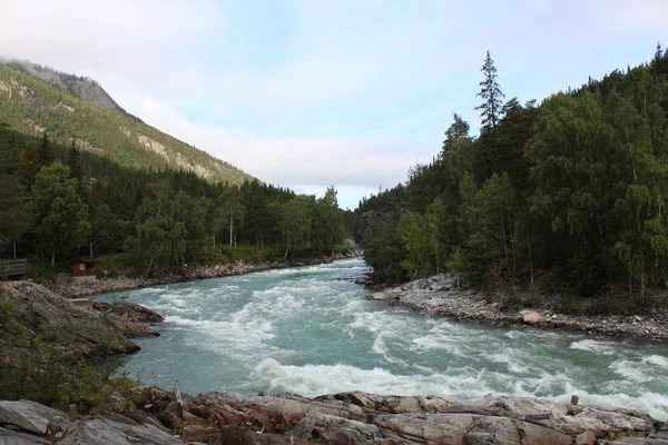 La rivière Sjoa près du camp de kayak de Sjoa. Norvège . — Photo