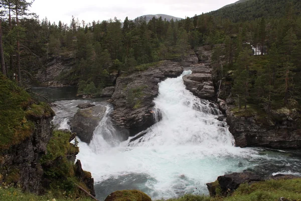 Cascades dans la forêt norvégienne . — Photo