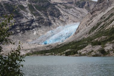Norveç'te bir buzul Nigardsbreen olduğunu.