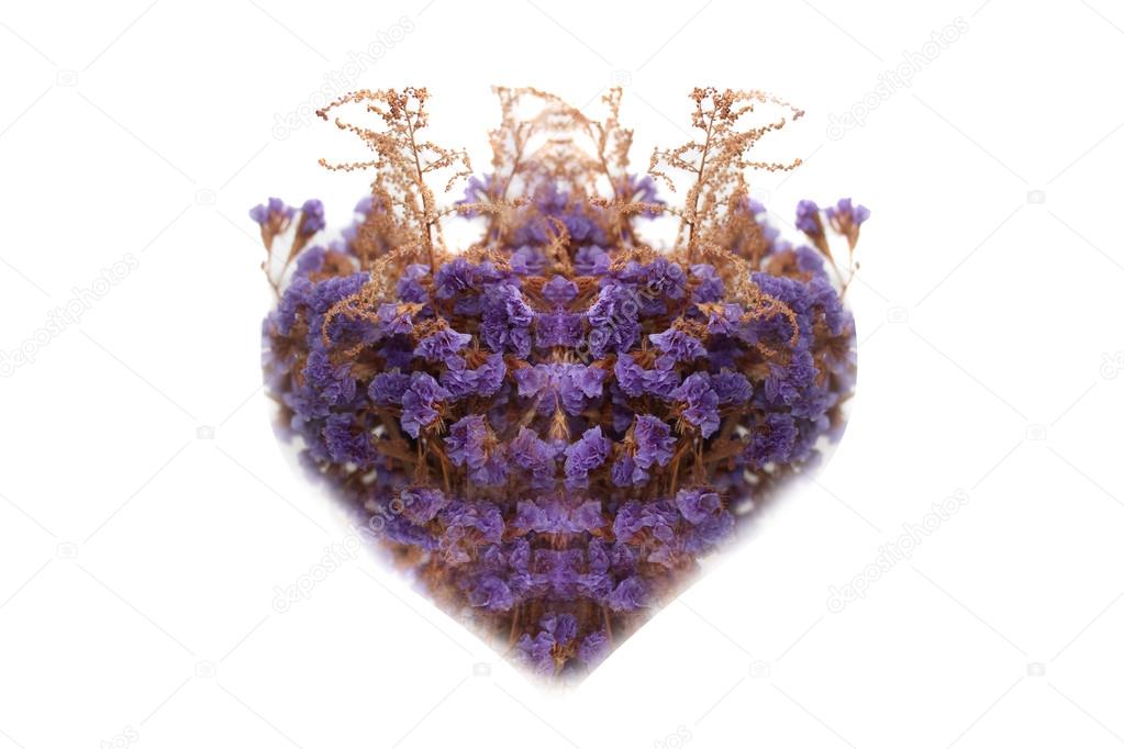 A heart. Composition from flowers.