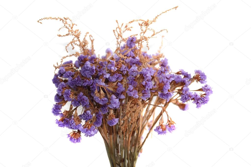 The bunch of limonium flowers isolated on white.