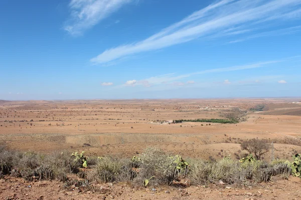 Fas, Arfica küçük çöl.