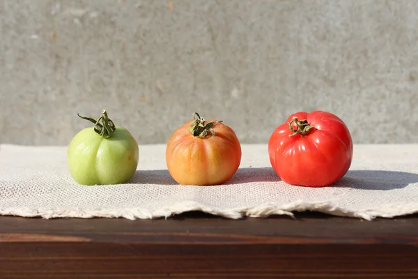 Três maturidades de tomate . — Fotografia de Stock