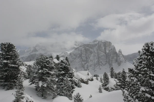 Dolomites. Apls. İtalya. Seyahat ve keşfetmek. — Stok fotoğraf