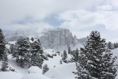 Dolomites. Apls. İtalya.