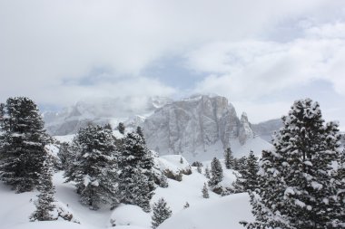 Dolomites. Apls. İtalya.