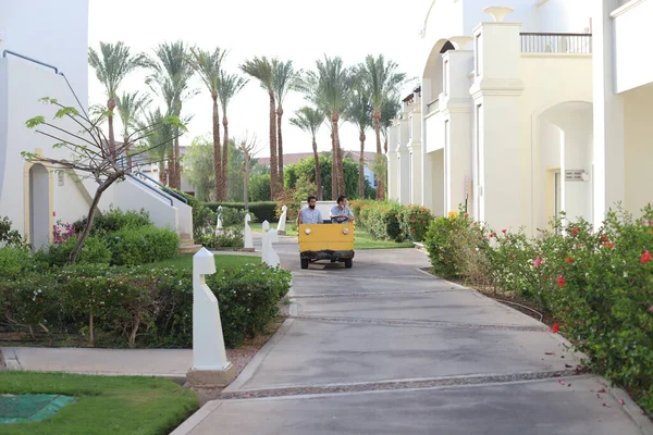 Sharm Sheikh Egypte April 2021 Hotelgebied Met Palmbomen Groen Gras — Stockfoto
