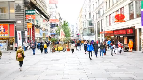 Vienna Austria Tourists Rathausplatz Square — Αρχείο Βίντεο