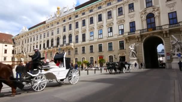 Wien Österreich Pferdekutsche Neben Der Hofburg — Stockvideo