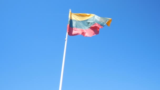 立陶宛维尔纽斯 迎风飘扬的立陶宛国旗 — 图库视频影像