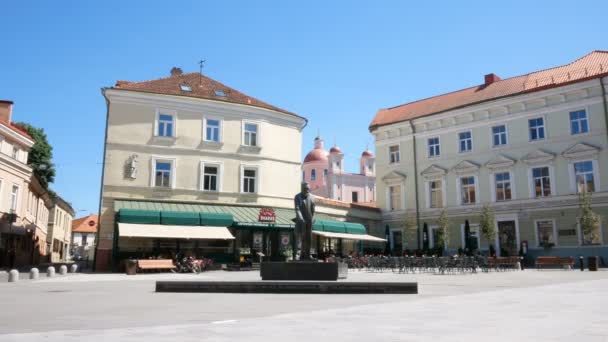 Вильнюс Литва Памятник Йонасу Басанавиюсу — стоковое видео
