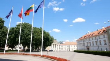 Vilnius, Litvanya, Simonas Daukantas Meydanı 'nda Litvanya bayrakları