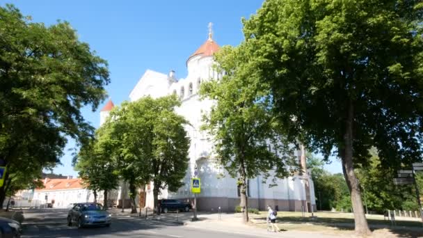 Vilnius Lituânia Catedral Ortodoxa Dormição Theotokos — Vídeo de Stock