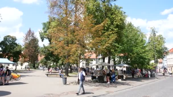 Vilnius Lituanie Marché Place Didioji — Video